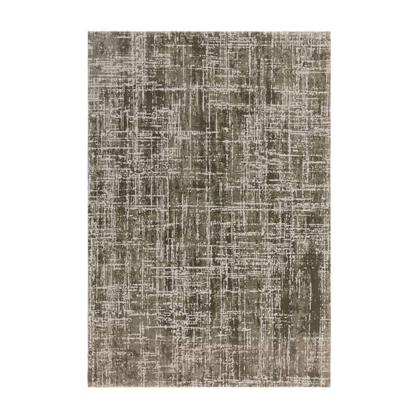 Khaki szőnyeg 240x340 cm Kuza – Asiatic Carpets