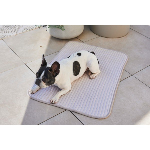 Szürke pamut takaró kutyáknak 75x100 cm Onda Pebble M – MiaCara-image-3