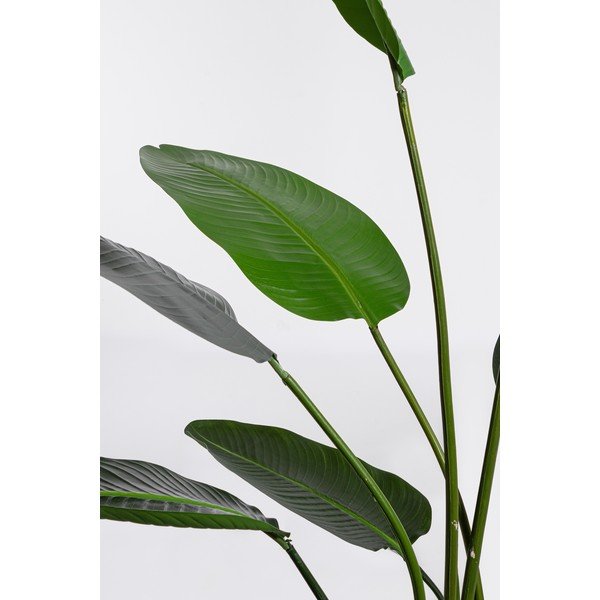 Művirág (magasság 185 cm) Sterilizia – Bizzotto-image-1