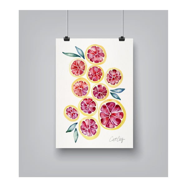 Grapefruit Slices by Cat Coquillette 30 x 42 cm-es plakát