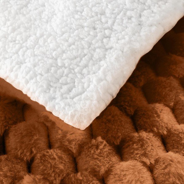 Világosbarna mikroplüss takaró 220x240 cm Frosty – douceur d'intérieur-image-4