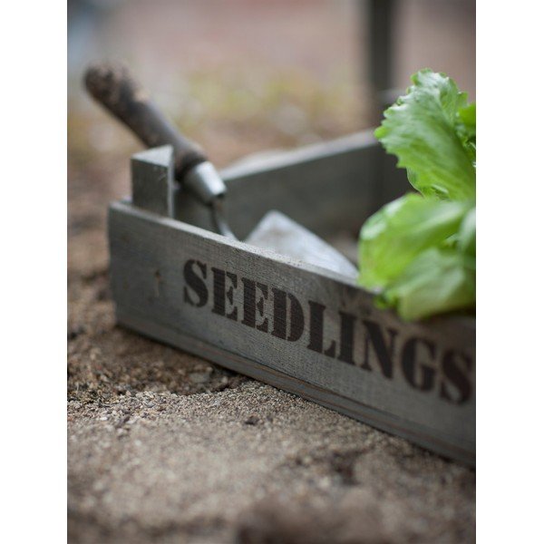 Seedlings hajtástároló láda lucfenyőből - Garden Trading-image-1