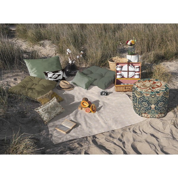 Puff Honeysuckle – Tierra Bella-image-1