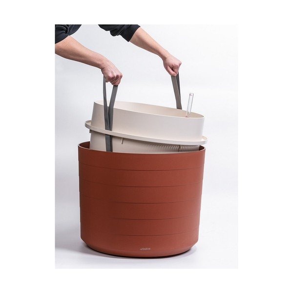 Berberis barnásvörös önöntözős virágcserép, ø 55 cm - Plastia-image-3