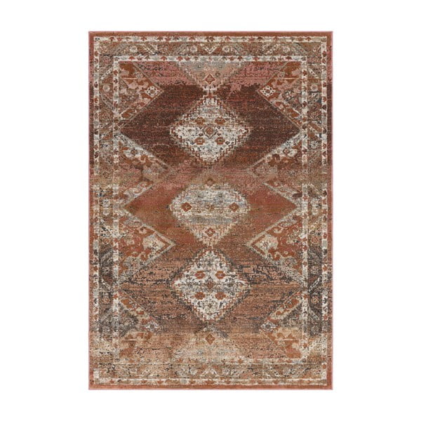 Piros-barna szőnyeg 290x195 cm Zola - Asiatic Carpets