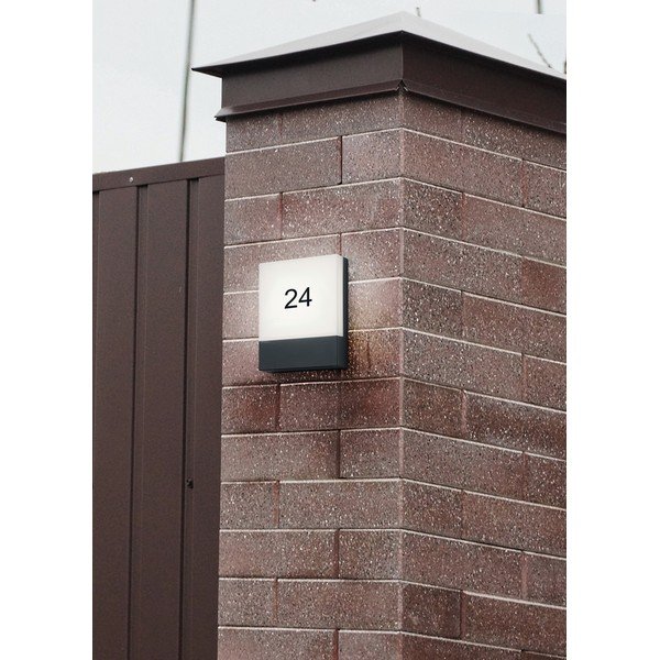 LED fali kültéri lámpa (magasság 20 cm) Pecos – Trio-image-2