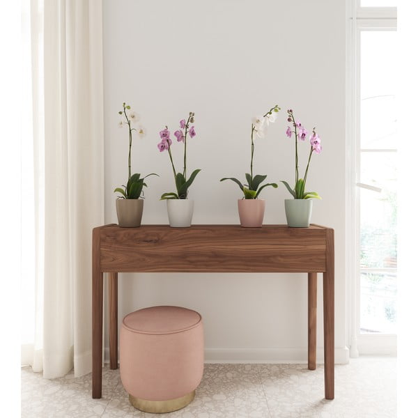 Kerámia virágcserép ø 14 cm Thalia – Artevasi-image-3