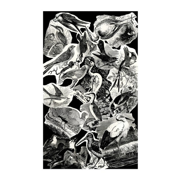 Birds szőnyeg, 120 x 200 cm - Casa Di Bassi