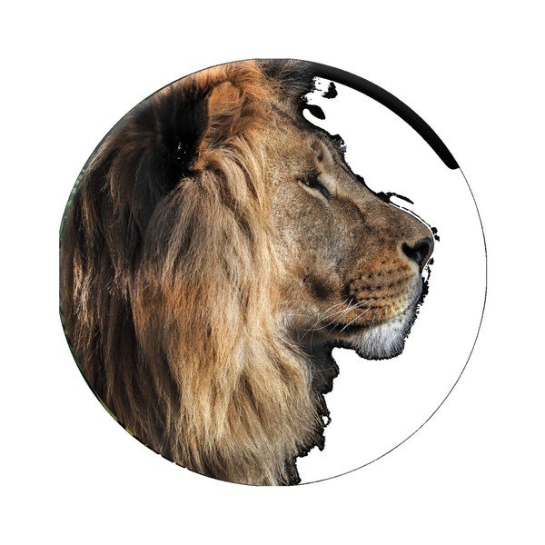 Ring Lion fali dekoráció, ø 70 cm - Styler