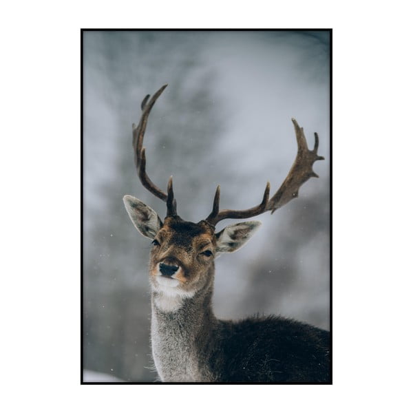 Deer plakát, 40 x 30 cm - Imagioo