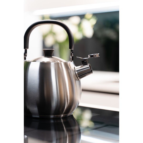 Bolla ezüstszínű vízforraló rozsdamentes dugattyúval, 2,5 l - Vialli Design-image-4