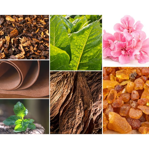 Illatos szójaviasz gyertya égési idő 60 ó Tobacco&Leather/Oud&Bergamote – Privé Home-image-3