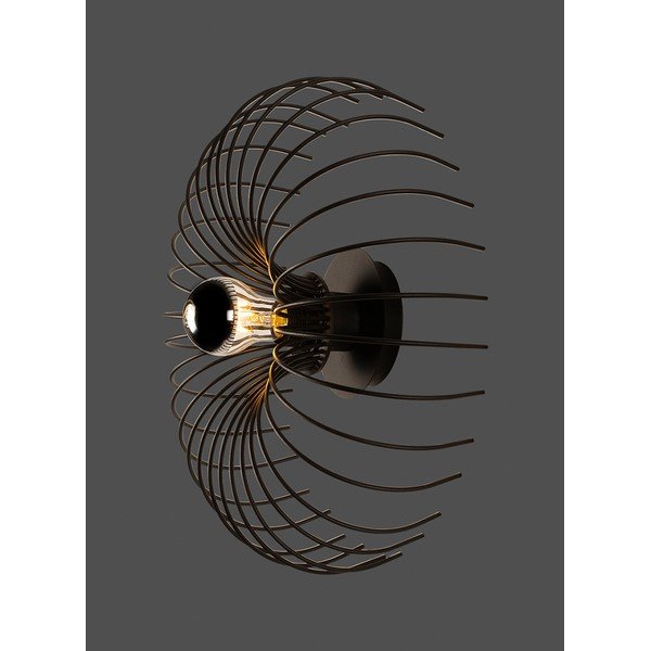 Fekete fali lámpa Opilio – Squid Lighting-image-3