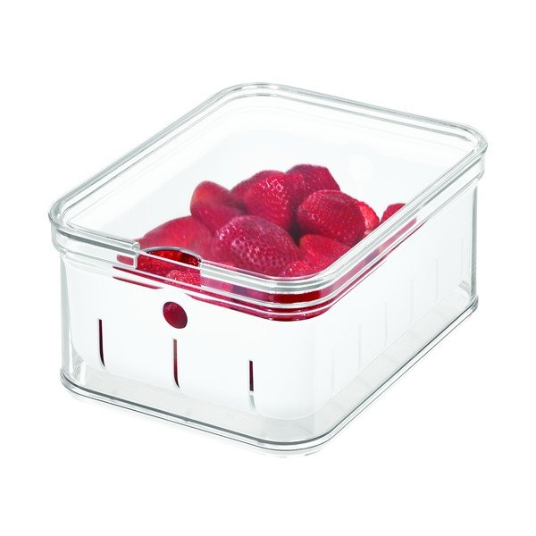 Átlátszó fedeles tároló, 21 x 16 cm - iDesign-image-2