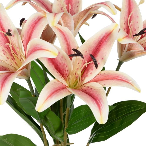 Művirág (magasság 58 cm) Lily – Ixia-image-1