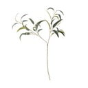 Eukaliptusz műnövény (magasság 101 cm) – Bloomingville