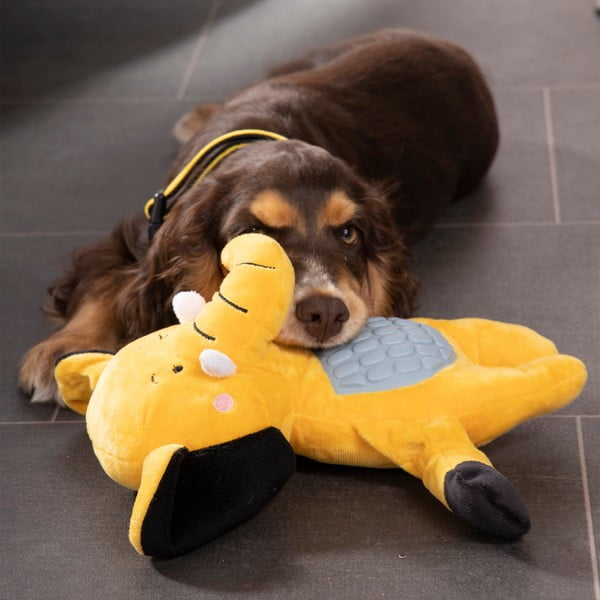 Kutyajáték – Love Story-image-1