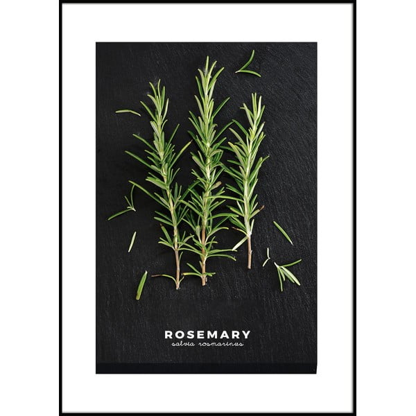 Keretezett poszter 50x70 cm Rosemary – Styler