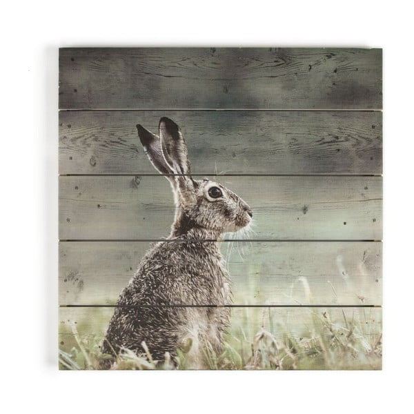 Hare fa fali kép, 50 x 50 cm - Graham & Brown