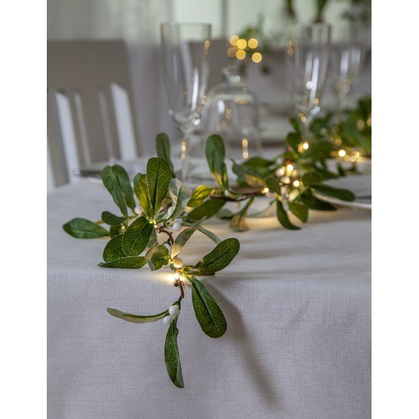 Zöld fénydekoráció Mistel – Star Trading-image-1