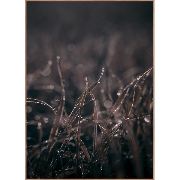 Keretezett poszter 50x70 cm Mellow Grasses 5 – Malerifabrikken