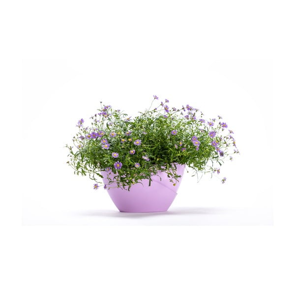 Doppio pasztell lila önöntöző kaspó - Plastia-image-2