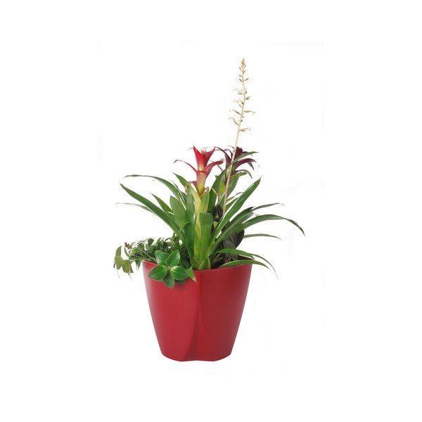 Camay piros kaspó, ø 18,5 cm - Plastia-image-1