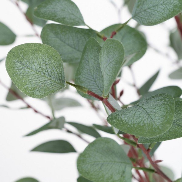 Eukaliptusz műnövény (magasság 180 cm) Eucalyptus – Ixia-image-1