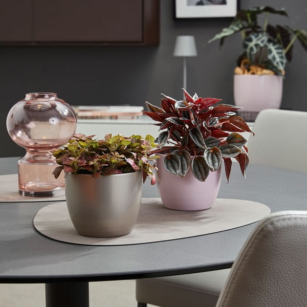 Kerámia kaspó ø 24 cm Basel Elegance - Big pots-image-1