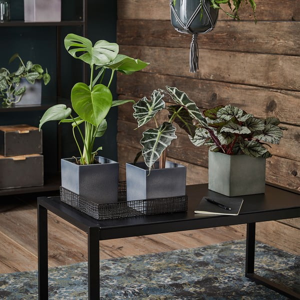 Latina lila kerámia virágcserép, 15 x 15 cm - Big pots-image-1