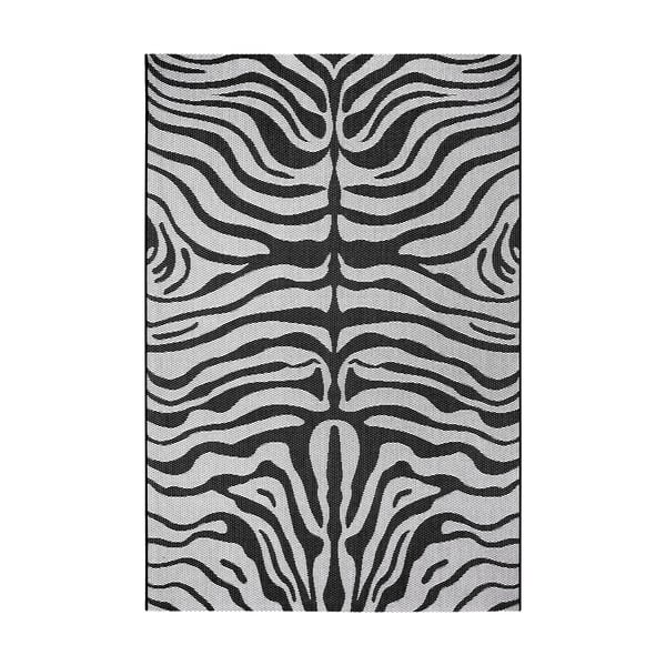 Safari fekete-bézs kültéri szőnyeg, 200x290 cm - Ragami