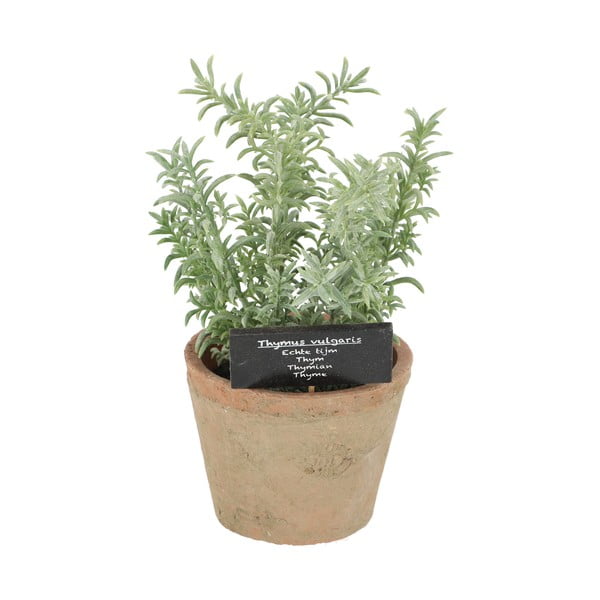 Műnövény (magasság 21,5 cm) Thyme – Esschert Design-image-1