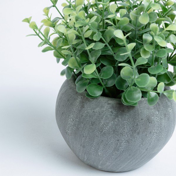 Mű eukaliptusz kaspóban - Kave Home-image-1