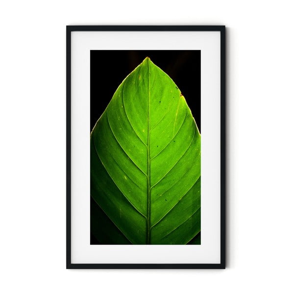 Leaf poszter keretben, 46 x 72 cm - Insigne