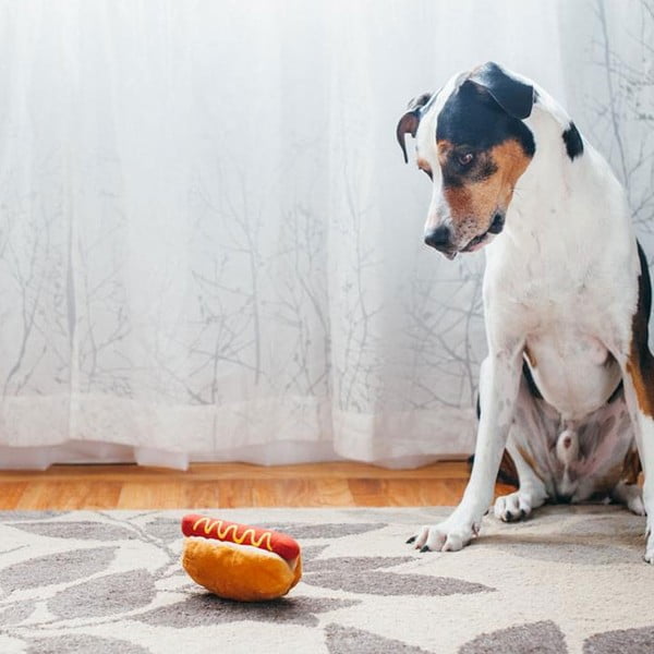Játék kutyáknak Hot Dog - P.L.A.Y.-image-1