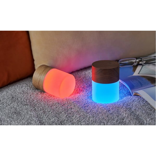 Sötétbarna szabályozható asztali lámpa üveg búrával (magasság 10,5 cm) Lemelia – Gingko-image-4