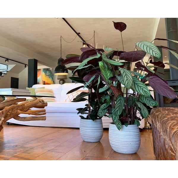 Kerámia kézzel készített virágcserép ø 29 cm Dóris – Artevasi-image-1