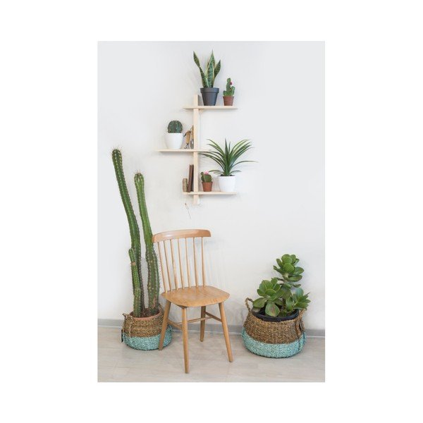Natural ciprusfa virágtartó polc - Really Nice Things-image-1