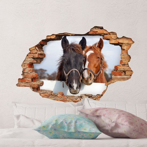 Horses falmatrica - Ambiance-image-1