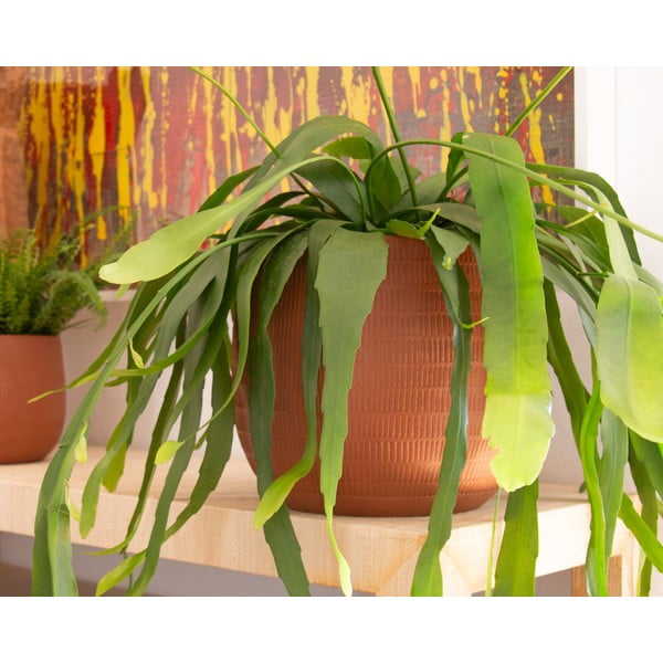 Kerámia kézzel készített virágcserép ø 16 cm Aura – Artevasi-image-1