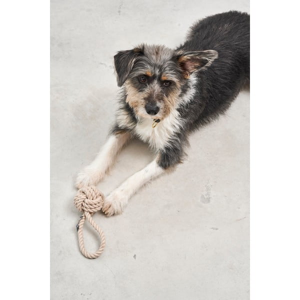 Kutyajáték Nodo Greige – MiaCara-image-2