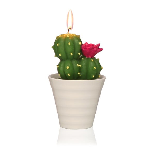 Cactus Fila kaktuszformájú díszgyertya - Versa