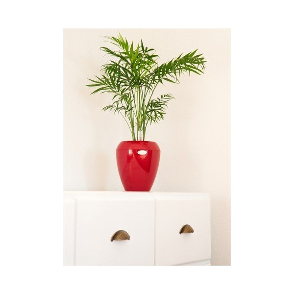 Calimera Camay piros önöntöző kaspó, ø 17 cm - Plastia-image-1