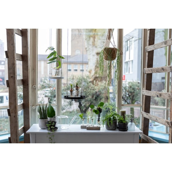 Clear üveg locsolókanna virágokhoz, 1,5 l - Esschert Design-image-4