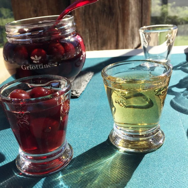 Abeille üveg tojástartó - La Rochère-image-1