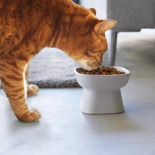 Kerámia tálka kisállatoknak Tower – YAMAZAKI-image-1