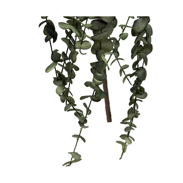 Művirág Eucalyptus – Côté Table-image-1