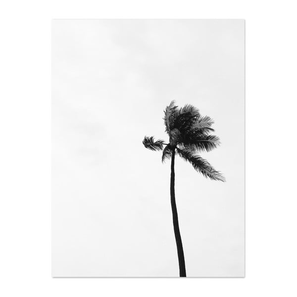 Botanic Palms poszter, 30 x 40 cm - HF Living