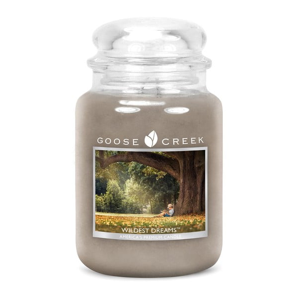 Vad Álmok illatgyertya üvegdobozban, égési idő 150 óra - Goose Creek
