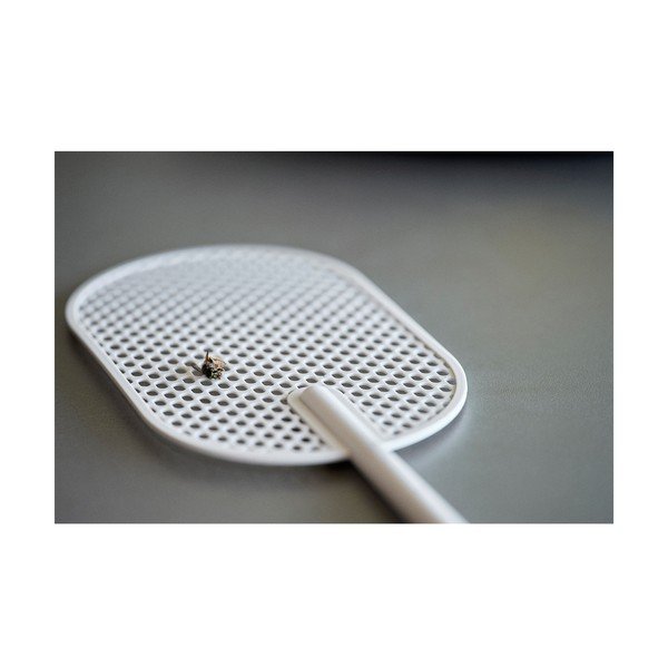 Singles szürke légycsapó - Zone-image-2